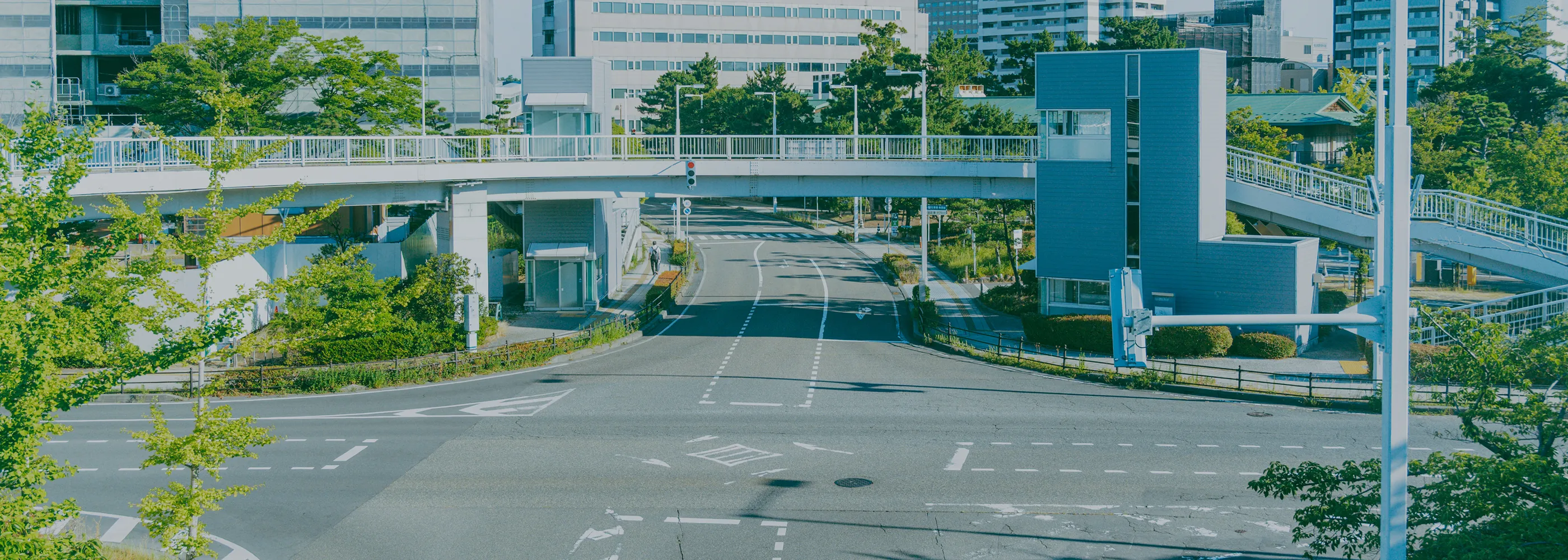 一般道路の写真